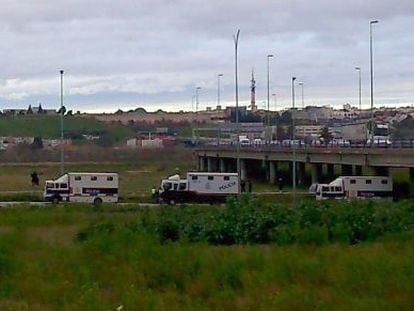 Agentes de polic&iacute;a, durante la operaci&oacute;n para controlar a los caballos abandonados.