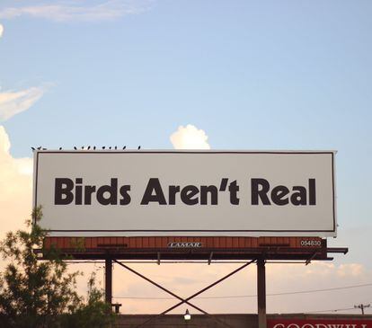 El primer gran cartel de la plataforma 'Birds Aren't Real' se colocó en Memphis, Tennessee, en 2019.