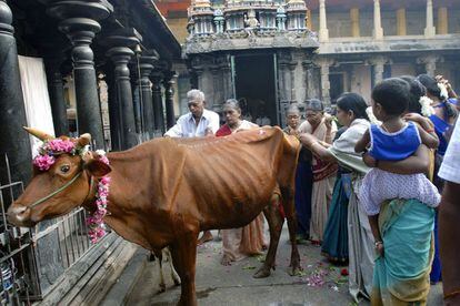 Una vaca paseando por una calle en India.