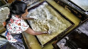 La fábrica de papel de boñigas de elefante, una historia única en Sri Lanka