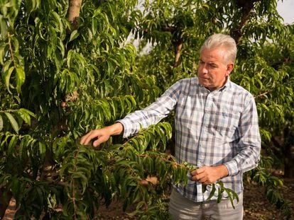 Jordi Ametller, copropietario del grupo agroalimentario Ametller Origen.