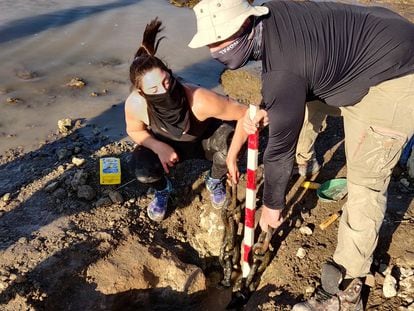Dos arqueólogos sostienen los eslabones de las cadenas de la batalla de la Vuelta de Obligado descubiertas por la bajante del Río Paraná