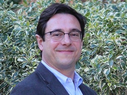 El director del centro de estudios sobre Israel de la Universidad de California en Los Ángeles, Dov Waxman, en una imagen cedida.