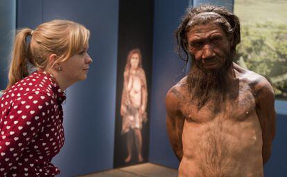 Una empleada del Museo de Historia Natural de Londres mira a un modelo de hombre neandertal.