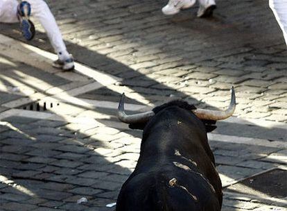 Finalizados los encierros de los Sanfermines 2009, Pamplona despedirá la fiesta esta noche con el tradicional 'Pobre de mí' y empezará la cuenta atrás para edición del año que viene