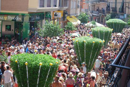 Albahacas gigantescas en la procesión de Les Alfàbegues, en Bétera (Valencia).