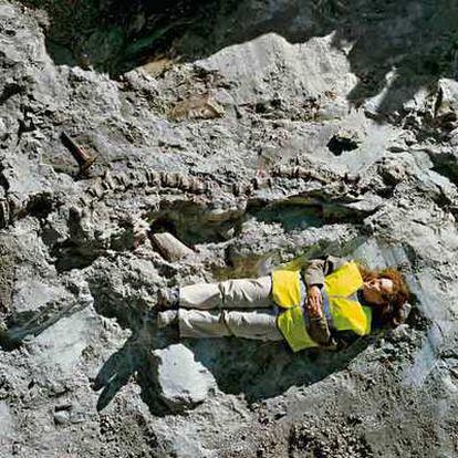 La paleontóloga Begoña del Moral (en la foto), junto a parte de la cola, que podía medir hasta seis metros, y pata de un titanosaurio.