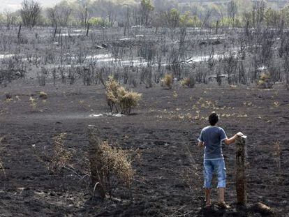 Extensión de terreno calcinada por el incendio que ha afectado al suroeste de Ávila.