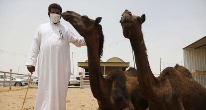 Ciudadano saud&iacute; con sus camellos en Riad. 