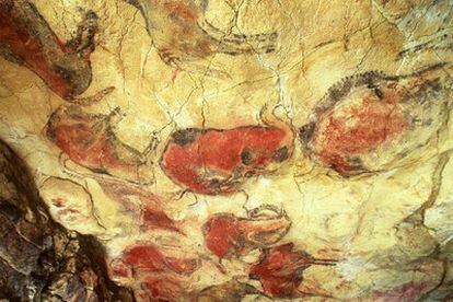 Los bisontes policromados rupestres de las cuevas de Altamira.