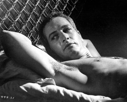 Paul Newman in una scena da 'La leggenda dell'indomito' (1967). Per questo film è stato nominato, così come per altri otto. Ha ottenuto l'Oscar come miglior attore solo nel 1986, per 'Il colore del denaro', quando aveva già 61 anni.