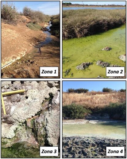 Inflitraciones de aguas tóxicas de los fosfoyesos en la ría de Huelva.