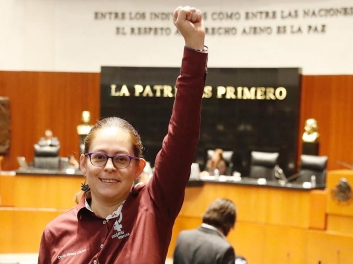 Tanya Viveros, la legisladora más corta (y más efectiva) del Senado: 20 iniciativas aprobadas en cuatro horas