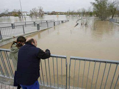 Crecida del río Ebro a su paso por Tudela