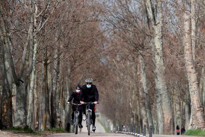 Varias personas circulan en bicicleta por la Casa de Campo de Madrid.