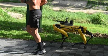 Un hombre corre junto al robot 'Spot', en Singapur, que repite mensajes grabados recordando a la gente que mantenga la distancia de seguridad