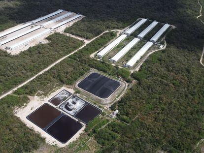 Instalaciones de la granja porcícola Kekén, a un kilómetro del poblado de Sitilpech, en el municipio de Izamal, Yucatán (México), en una vista aérea de febrero de este año.