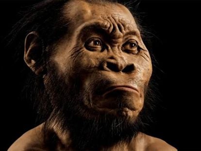 Imagen del 'Homo naledi'.