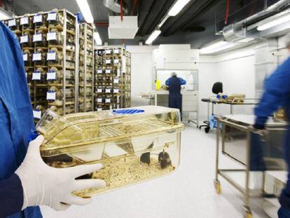 Animalario del Parque de Investigación Biomédica de Barcelona