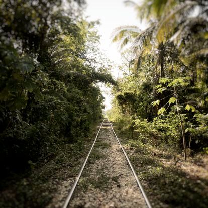 Vía ferroviaria por donde pasará el Tren Maya en el municipio de Tenosique, Tabasco.  
