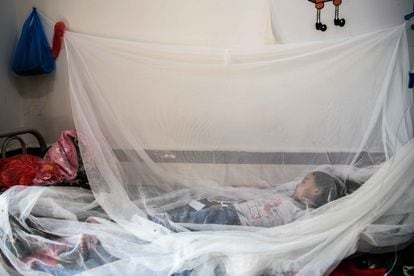 Rami Saleh, de seis años, ingresado por dengue en el hospital público de Ataq. 