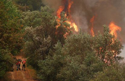 Góis, situada a 40 kilómetros al norte de Pedrógão Grande, es ahora "la zona más peligrosa" dentro del área afectada por el incendio, dijeron a Efe fuentes de Protección Civil. En la imagen, bomberos trabajan en una zona forestal próxima a la localidad Sandinha, cerca de Góis.
