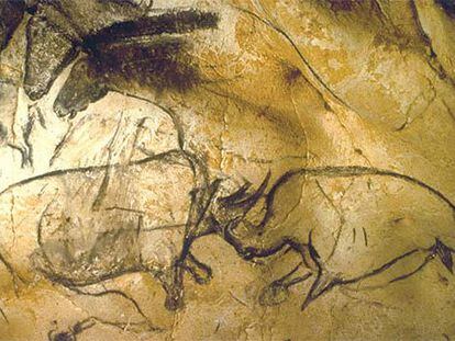 Pinturas rupestres de la cueva de Chauvet (Francia).
