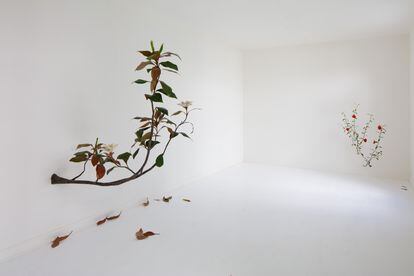 Una pareja de plantas, de los jardines de Barragán y los versos de García Lorca, en la exposición 'Granada granada', del artista Álvaro Urbano en la galería Travesía Cuatro, en Ciudad de México.