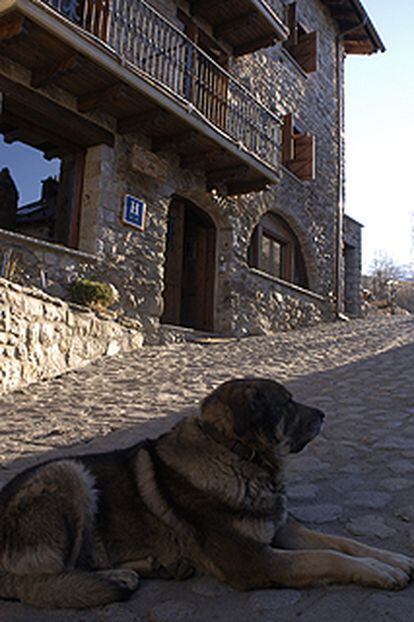 El perro <i>Lucky,</i> junto a Casa Cornel, en Cerler (Huesca).