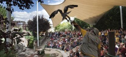 Exhibición de aves rapaces en Faunia.
