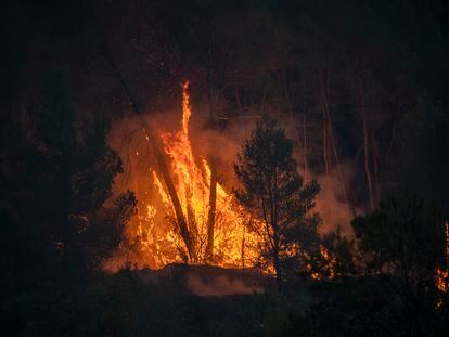 Efectivos en las labores de extinción del incendio a 17 de julio de 2022, en Pont de Vilomara, Barcelona, Cataluña, (España). El  fuego forestal se ha iniciado este domingo a medio día  y ya afecta a 95 hectáreas,  en su extinción trabajan 81 dotaciones de los Bombers de la Generalitat, de las cuales 13 son aéreas. El fuego, avivado por el viento del sur, avanza "con potencia y proyecta focos secundarios" y tiene potencial para quemar hasta 1.500 hectáreas, ha informado Bombers en un comunicado. Por eso, han recomendado la evacuación de la zona de casas de Can Riera, cercana al municipio; han desalojado la zona de Rocafort y han confinado la urbanización de River Park por prevención, después de que así lo pidiera Protecció Civil.
17 JULIO 2022
Lorena Sopêna / Europa Press
17/07/2022