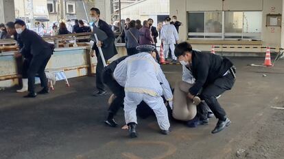 Agentes inmovilizan al autor del lanzamiento del explosivo.