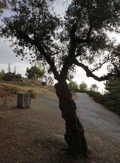 Lugar donde se cree que se encuentra la fosa de Lorca.