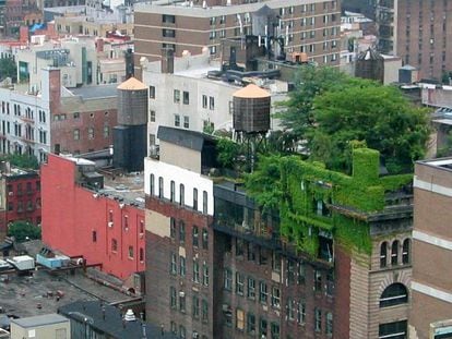 Edificio 'naturado' en Manhattan, Nueva York.