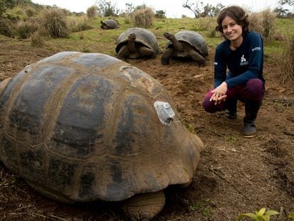 La veterinaria Ainoa Nieto posa con tres tortugas gigantes de Galápagos, donde dirige la investigación de la fundación Charles Darwin sobre estos animales.