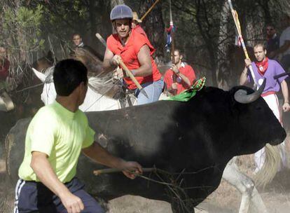 Torneo del Toro de la Vega celebrado ayer en la localidad vallisoletana de Tordesillas.