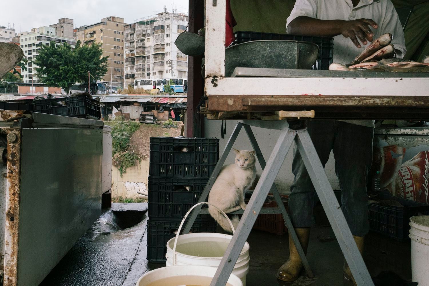 Un empleado de una pescadería se prepara para trabajar en el Mercado Guerrero, el pasado enero.