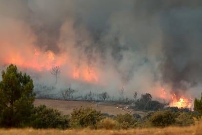 Llamas del incendio de Monsagro, este viernes en Salamanca. El portavoz de la Unidad Militar de Emergencias (UME), Aurelio Soto, ha informado este sábado que se encuentran colaborando en las tareas de extinción de cuatro incendios forestales con un total de 609 efectivos desplegados y no descartan incorporarse a otros nuevos incendios forestales en España.