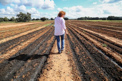 Natividad Pérez, alcaldesa de Balsa de Ves, camina por un terreno agrícola lleno de digestato reseco.