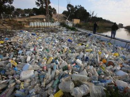 Miles de recipientes llegan desde las acequias hasta una barrera de contención situada en una zona protegida junto al litoral de Guardamar