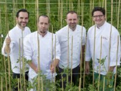 La cocina de la huerta en un curso de verano