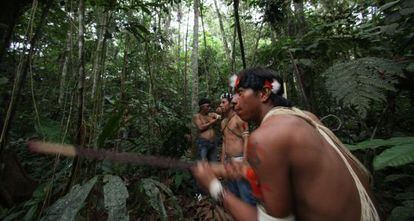 Los indios waorani habitan la reserva de Yasun&iacute; en la regi&oacute;n amaz&oacute;nica de Ecuador.