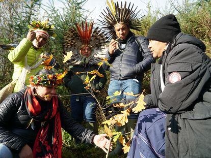 Un grupo de indígenas de Brasil y Mesoamérica planta un pequeño roble en la comunidad Kilfanan en Escocia.