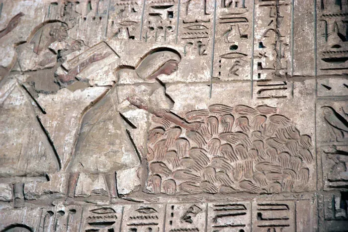 Recuento de manos del enemigo en un relieve del templo de Medinet Habu, en Luxor.