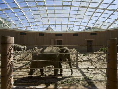 La Elephant House (casa de los elefantes) del Zoo de Copenhague.
