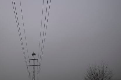 Una cigüeña posada sobre un poste de tendido eléctrico, en enero pasado en Sevilla.
