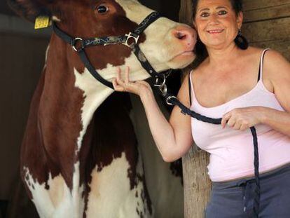 La activista Edith Zellweger, junto a una de las vacas rescatadas.