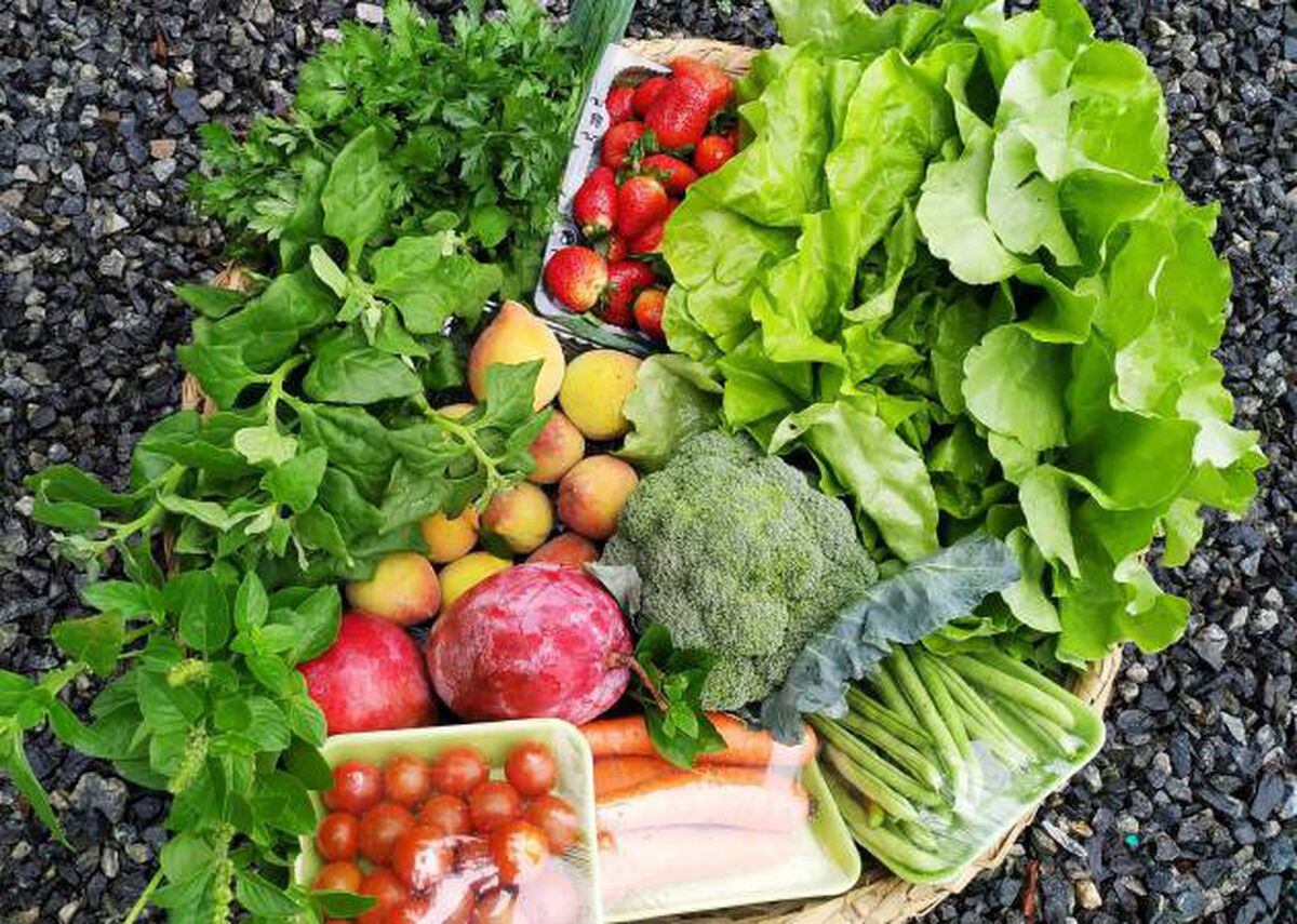 Comer menos carne sería bueno para la Tierra. Pequeñas acciones