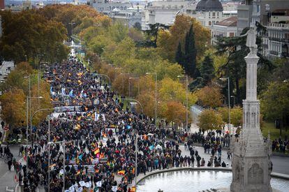 Miles de manifestantes contra la reforma de la Ley de Seguridad Ciudadana, este sábado. 