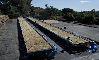 Trabajadores de SOIL manejan los contenedores de residuos en Haití.